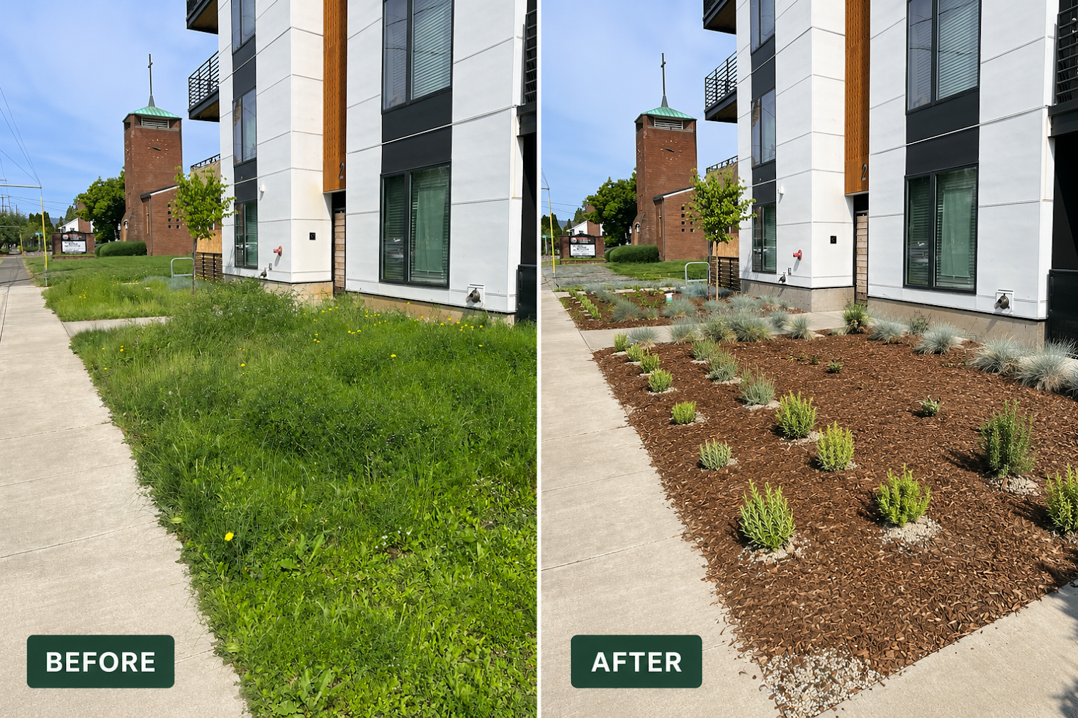 Before and after landscape bed refresh with mulch and plantings.